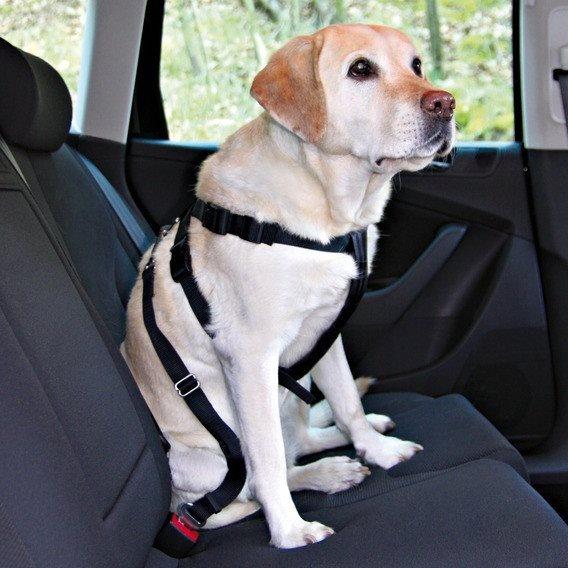 XL / 80 - 110 C Trixie Sikkerhedssele Til Din Hund - Trixie  - 4011905012933