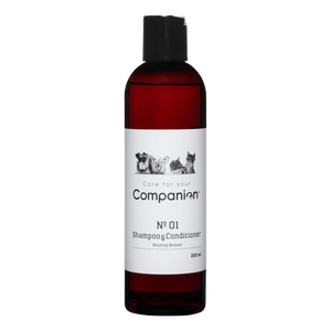 Companion 2 1 Shampoo 250 . - Companion  - 5701883408659