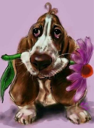 Basset Hund Med Blomst -