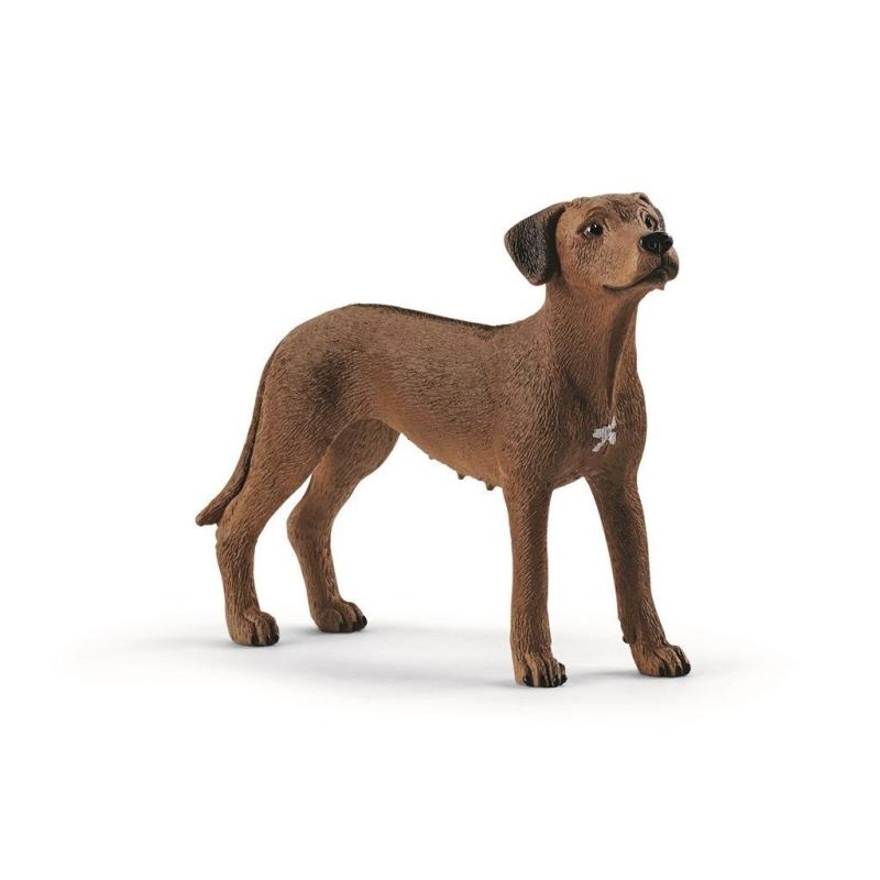 Schleich Rhodesian Ridgeback Hund - Leg og Læring!