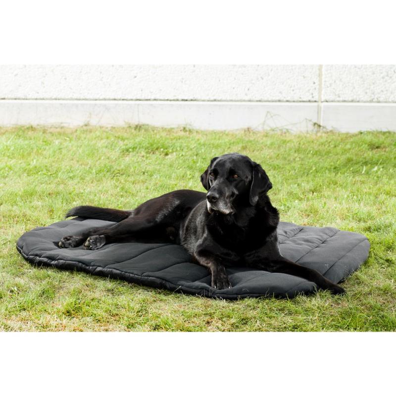 Oval Hundepude fra Back On Track - Komfort til din hund