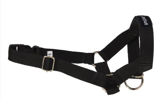 Ami Play Halter Basic Labrador Czarny - Ami Play  - 5907563205468