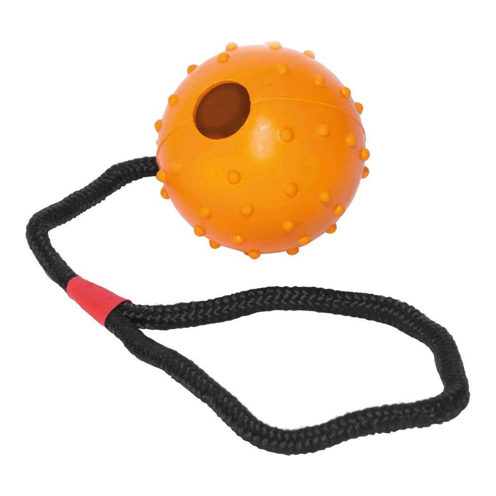 Hund Bidering Gloria Med Streng Gummi - Gloria  - 8432288172643