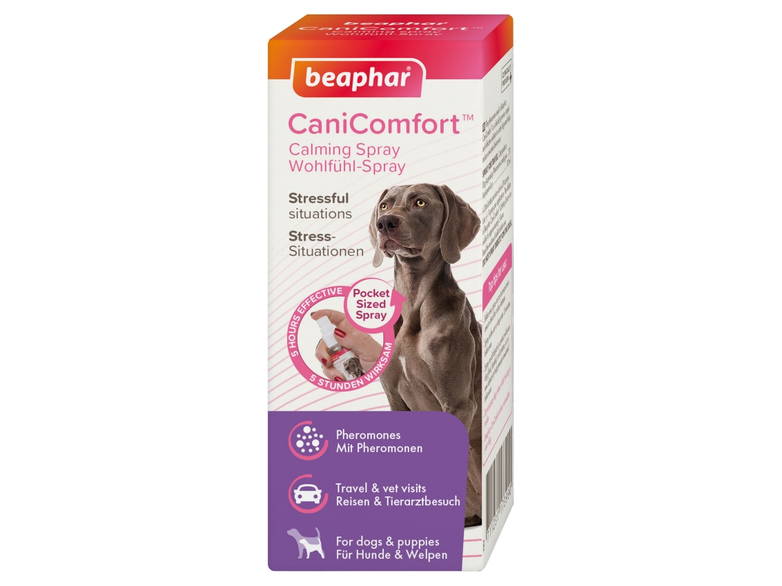 Beaphar Canicomfort Hund Spray Stk Kasse - Beaphar  - 8711231173990