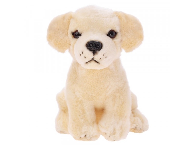 Beppe Maskot Labrador Hund Siddende - Beppe  - 5901703114566