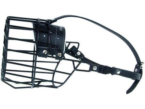 Champion Physiological Mundkurv Metal Fiz - Champion  - 5904509539298