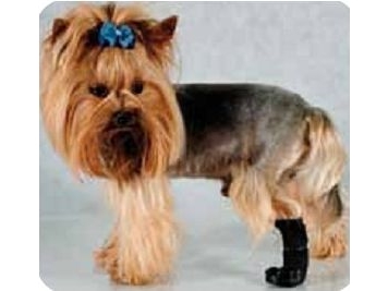 Grande Finale Grande Finale Sick Paw Shoe 10cm - Grande Finale  - 5907548617309