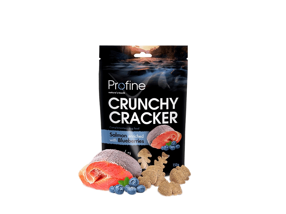 Profine Crunchy Cracker Salmon & Blueberries - Profine  - 8595602551873