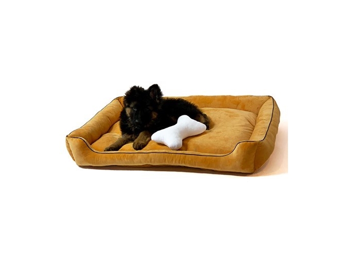 Gift Lux Camel Seng Til Kæledyr - Go Gift  - 5905359297352