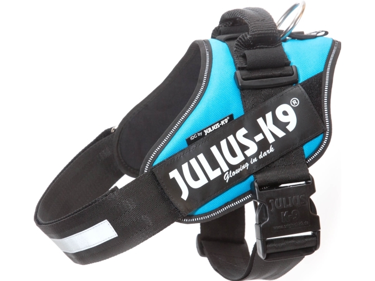 Julius Idc Sele Str : Aquamarine - Julius K9  - 5999053645540