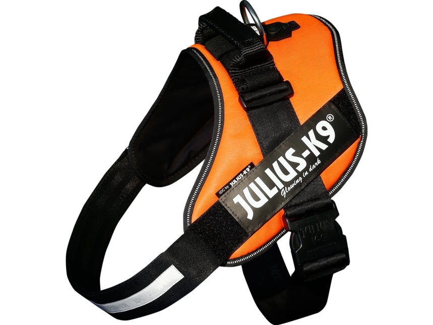 Julius Idc Sele Str : Orange - Julius K9  - 5999053659837