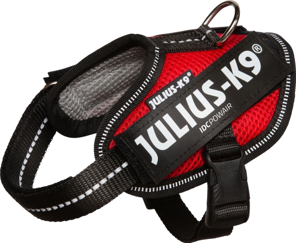 Julius Idc Powair Sele Str : Baby Rød - Julius K9  - 5999053682378