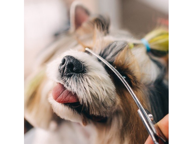 Purlov Hundeklipper Saks Purlov 23186 - Purlov  - 5904665713396