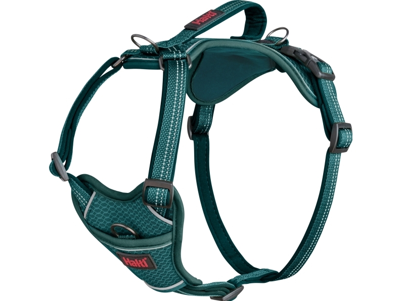 Halti Anatomy Selection Teal - Halti  - 886284471084