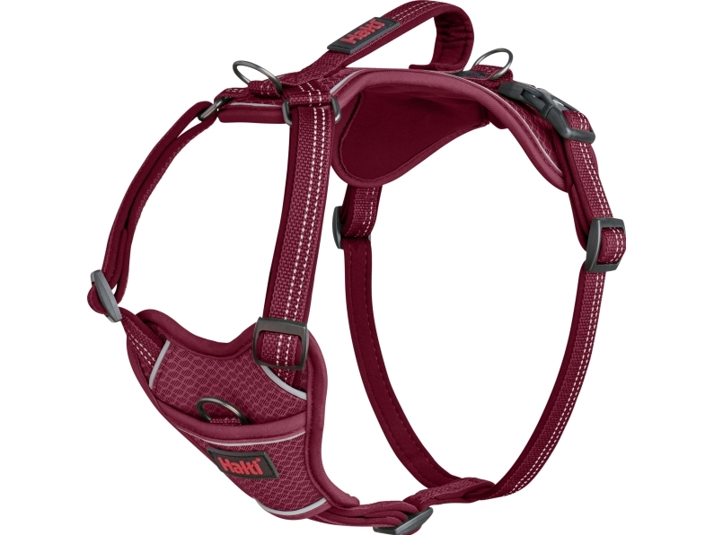 Halti Anatomy Sele Magenta Medium - Halti  - 886284471121