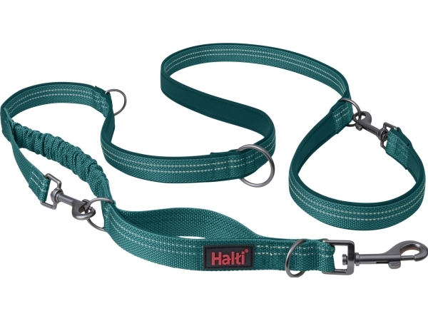 Halti Anatomy Multi Line Teal - Halti  - 886284472029