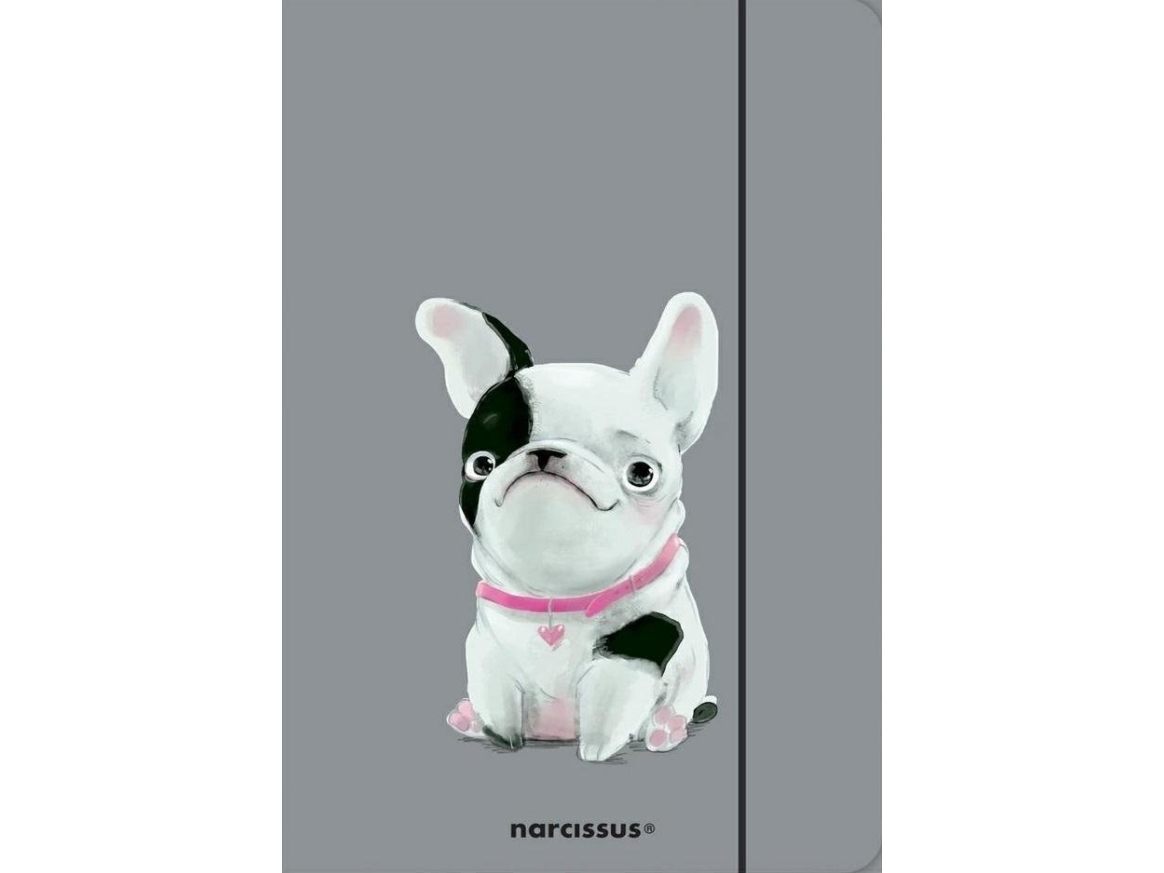 Mappe Med Elastikbånd Hund - Narcissus  - 5902633007447