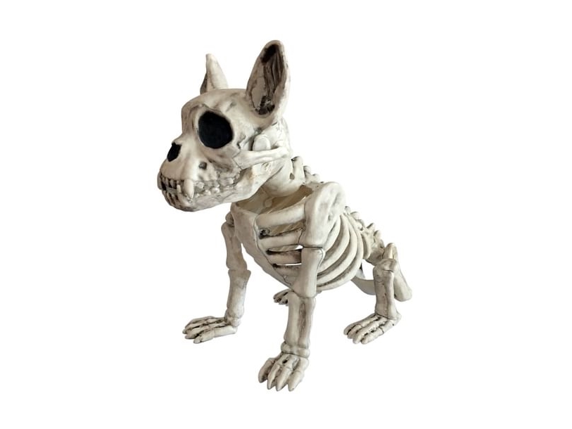 Siddende Skelet Hund - Espa  - 8712364942750