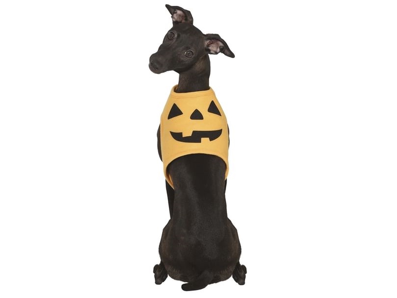 Græskar Kostume Til Hund - Fiesta  - 8434077241110