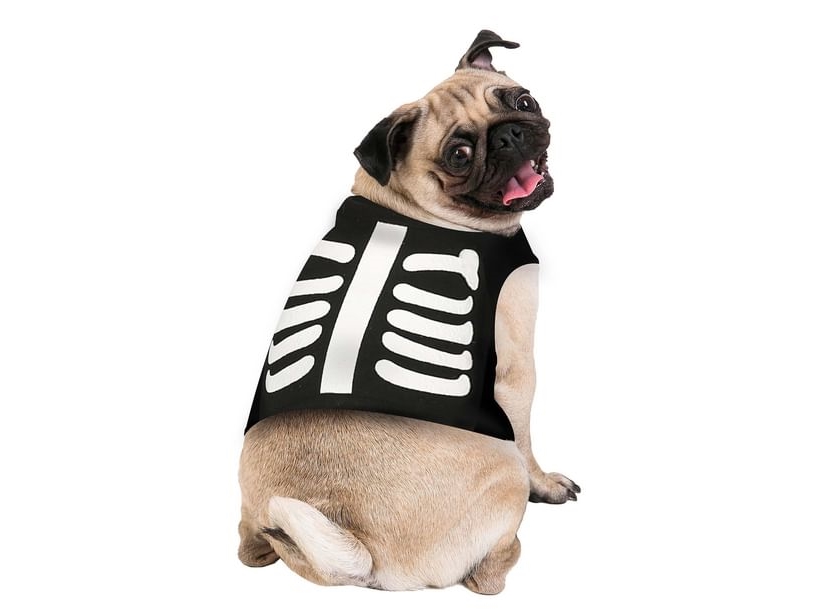 Skelet Kostume Til Hund - Fiesta  - 8434077241097