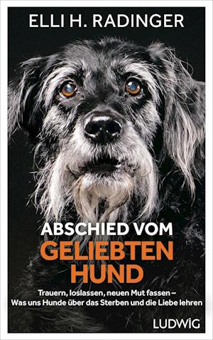 Abschied Vom Geliebten Hund Elli Radinger Bog -   - 9783453281486
