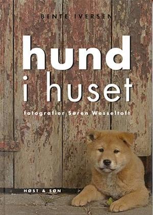 Hund Huset Brugt Bog Bente Iversen - Bente Iversen