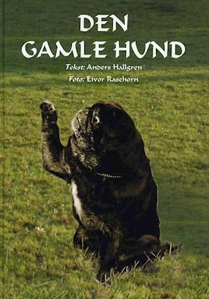 Den Gamle Hund Anders Hallgren Bog - Anders Hallgren  - 9788790828431