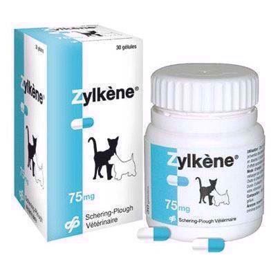 Zylk Tilskud Til Hund Kat Ved Uro Utryghed - ZylkÃ¨ne  - 3605874332393