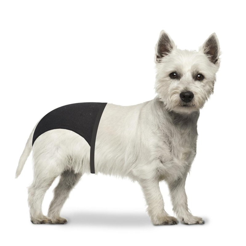 Løbetidsbukser Til Hund - Duvoplus  - 5414365249229