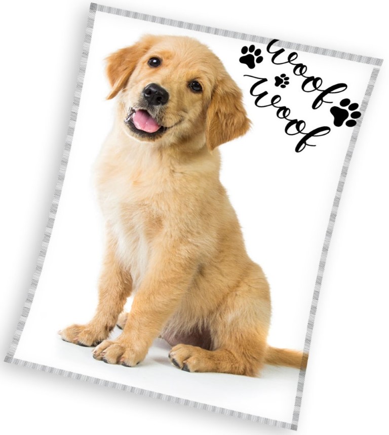 Hund Fleece Tæppe Til Børn 150 200 - Mcu  - 5904302516816