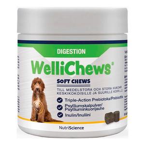 Swedencare Wellichews Digestion Tyggetabeletter Til Hund Stk - Swedencare  - 5391475003081